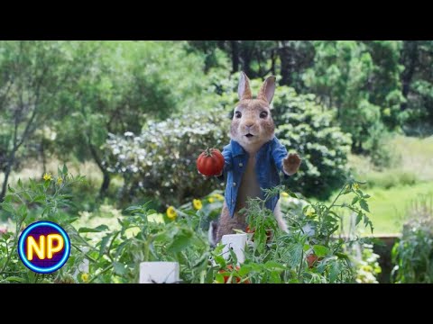 Garden Scene | Peter Rabbit 2: The Runaway