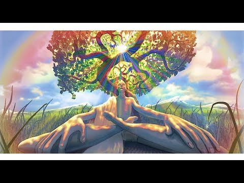 Ishan Wadhwa Talking about Meditation