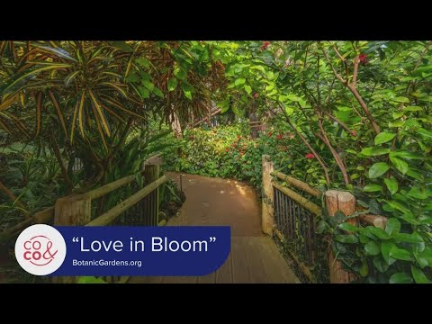 Winter Fun at the Botanic Gardens