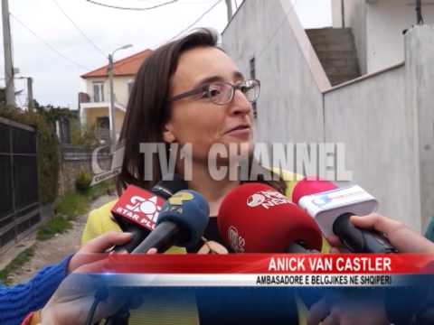 Dosja Frroku, ambasadorja Belge Van Castler shmang komentet