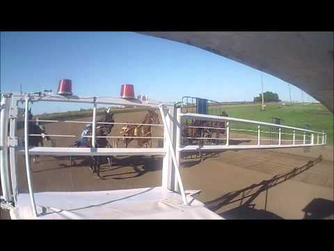 Iowa Harness Racing 2013 08 03 Duane Roland driving 'Black Hammer' Sioux Center, IA