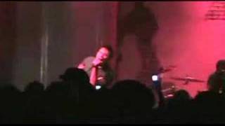 Final Night - Staple Live on the Final Night