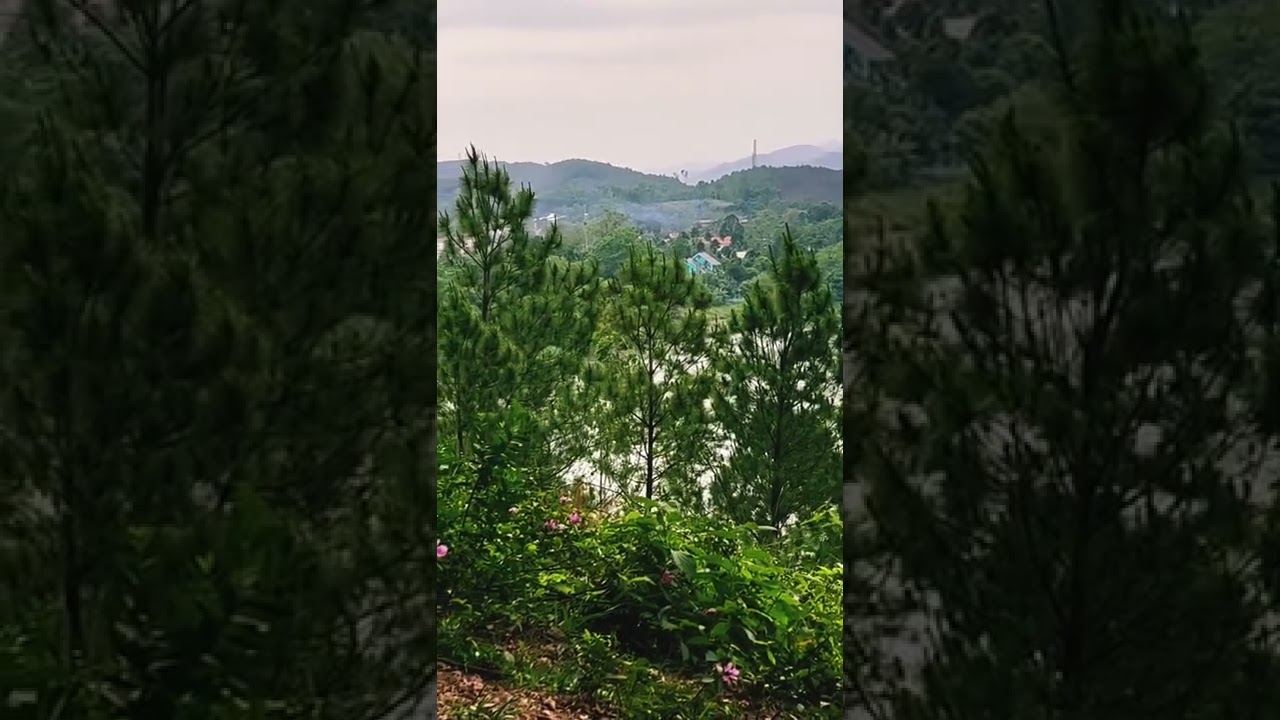 YouTube Short thumbnail