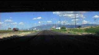 Ocelot Robot in Albuquerque