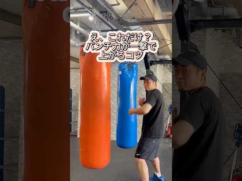 1つ意識するだけでパンチ力が上がるコツ #椎野大輝  #mma #boxing #格闘技 #プロボクシング #ボクシングトレーナー #ボクシング