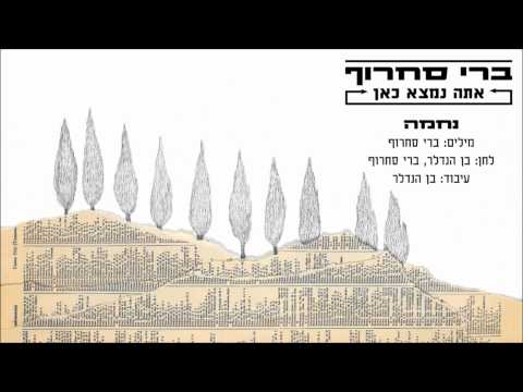 Video thumbnail for Nechama - נחמה