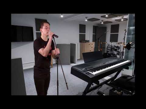 Menno Aben -Perfect -( Ed Sheeran)  TVOH -Palm Music Productions