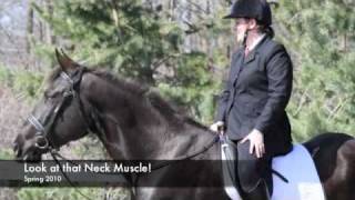 Omega Fields®, Omega Horseshine®, True Potential EPSM