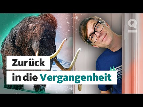 Sind Zeitreisen in die Vergangenheit möglich? | Quarks Dimension Ralph
