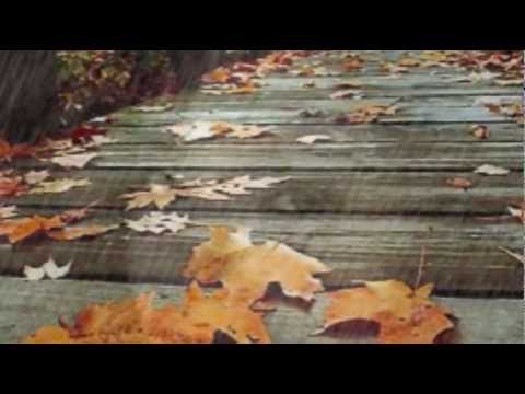 Peabo Bryson - Can You Stop The Rain
