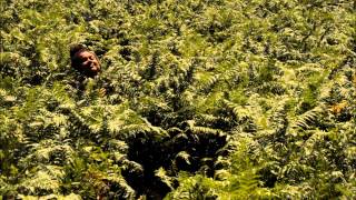 Seun Kuti - You Can Run (FaltyDL Remix)