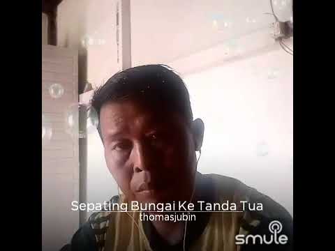 Sepating bungai ke tanda tua