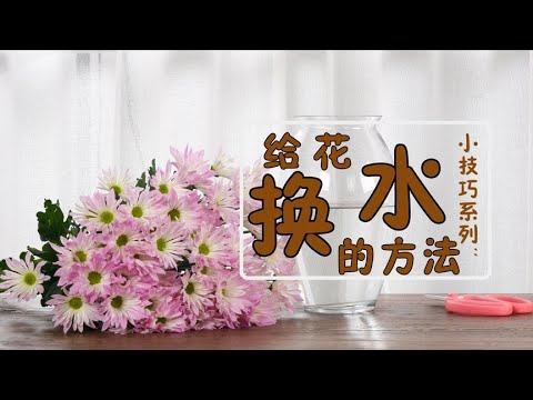 【大叔说花】花瓶的水为什么会臭？几天换一次水？应该怎么换水？