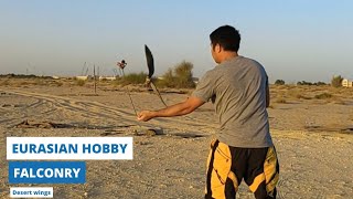 Flying my Eurasian hobby in KSA