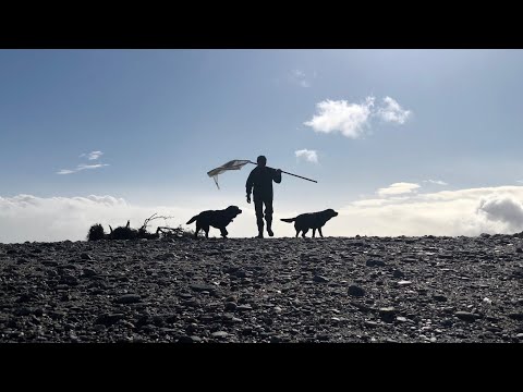 download lagu mp3 mp4 Buy Whitebait Nz, download lagu Buy Whitebait Nz gratis, unduh video klip Buy Whitebait Nz