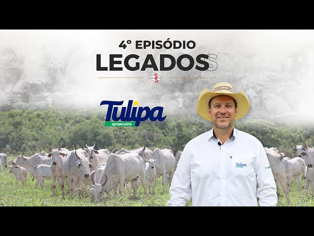 LEGADOSS - EPISÓDIO 4 | TULIPA AGROPECUÁRIA
