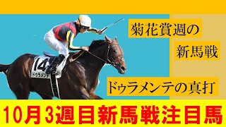 【10月3週目新馬戦】10月3週目菊花賞週の新馬戦注目馬紹介！！最有力はドゥラメンテ産駒のアルゴナヴィス！！