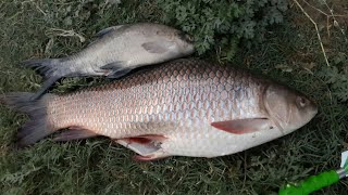 preview picture of video 'River sutlej Fishing'