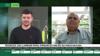 Miniatura do vídeo