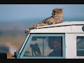 Fotos chistosas de animales