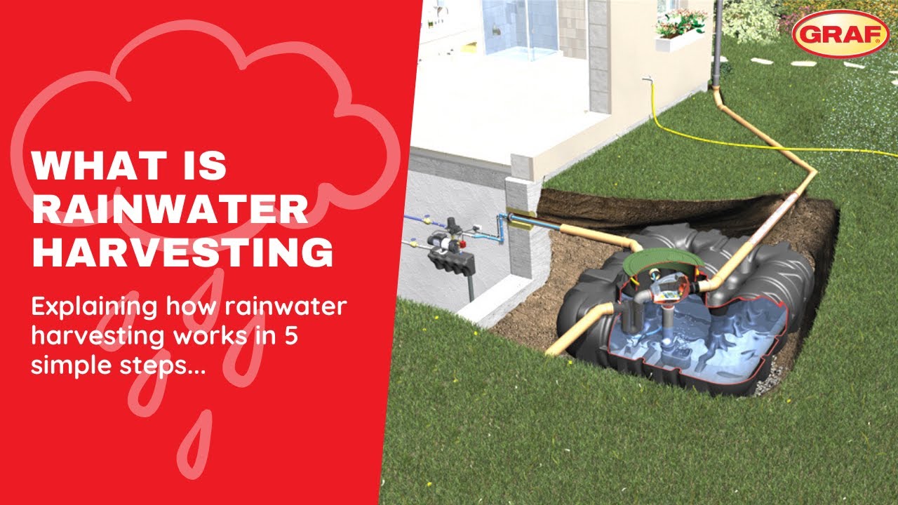 What is Rainwater Harvesting