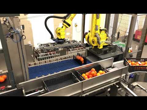 Test: crate loading oranges. Result: we can handle it!