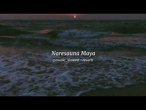 Naresauna Maya [ SLOWED + REVERB ] || Lisson Khadka