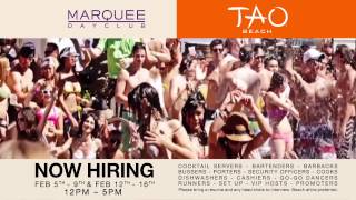 TAO Beach Hiring 2013