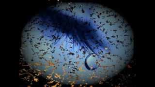 All along the watchtower.mpg