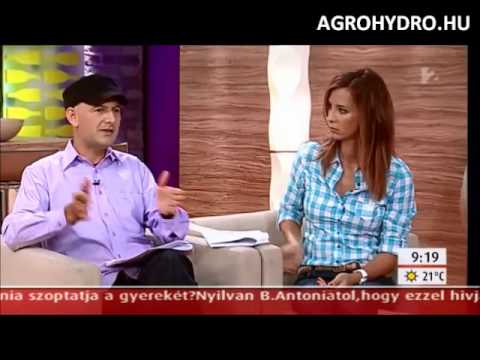 Méhcsípés és darázscsípés