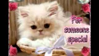 I WONDER BY NATALIE BROWN