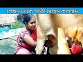 Sitting Behind Milking The Cow By Hand