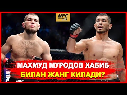 НОВЫЙ БОЙ! МАХМУД МУРОДОВ - ХАБИБ БИЛАН БИР КУНДА ЖАНГ КИЛАДИ