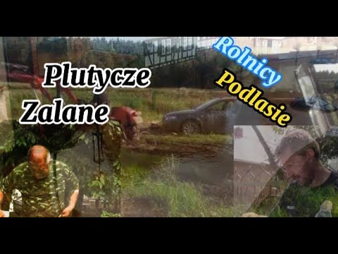 Zalane Gospodarstwo Andrzej i Gienka Podlaskie zmaga się z powodziami Rolnicy Podlasie