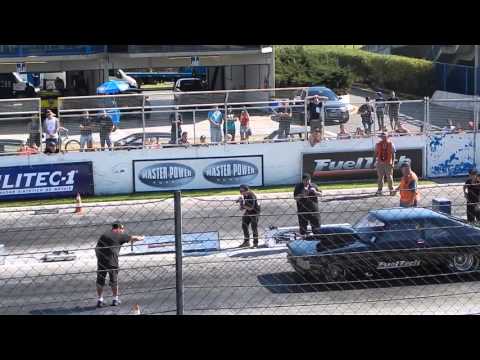 Opala TS- Diego Busato