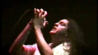 Pássaros Imaginários - Ando Jururú (Rita Lee)