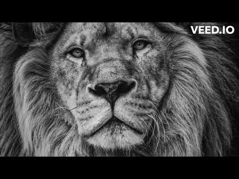 Volume (ongeza Volume) - Gashugi Radio