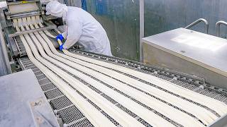 一天15噸！自動化紅燒牛肉麵量產工廠 - 台灣食品工廠