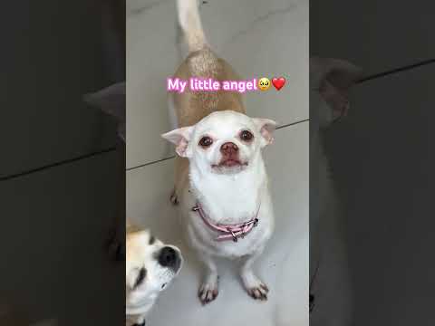 I love Niki so much😍😍😍😍