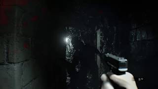 BIOHAZARD7 resident evil グロテスクver 2負傷目