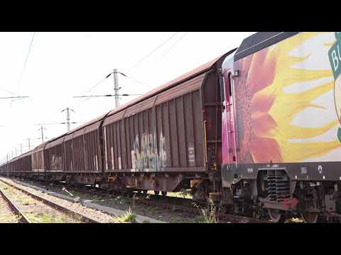 Ha Wagons on the road | Powered by E-P Rail