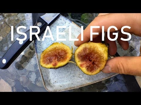 download lagu mp3 mp4 Sbayi, download mp3 Sbayi free download mp3, download mp3 Sbayi