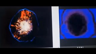 MH370 Videos - Fake VFX Debunked w/ Chris Lehto