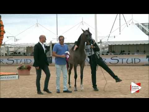 Most Beautiful Head Award - Class 6B - N. 103