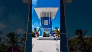 POV: You spend the day at MSC Cruises' private island in the Bahamas, Ocean Cay! #cruise #shorts