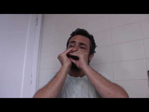 Desvairada(Garoto) - Harmonica