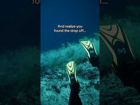 Ocean Drop Off😦 #thalassophobia #deepwater #deepocean #scary