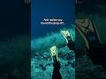 Ocean Drop Off😦 #thalassophobia #deepwater #deepocean #scary