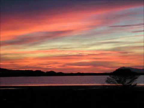 Charles Baudelaire : "Les Fleurs du Mal"