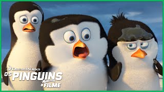 Como os Pinguins se tornaram OS PINGUINS | DreamWorks Madagascar em Português